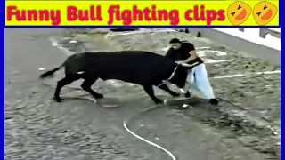 Funny bull fighting festival scenes #fails[ WATCH till the END]🤣🤣