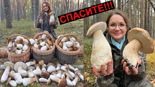 ГРИБЫ МУТАНТЫ АТАКУЮТ! ШОК НЕ ОЖИДАЛИ ТАКОГО! СКАЗКА ПРОДОЛЖАЕТСЯ!