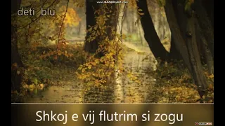 Shkoj e vij fluturim si zogu