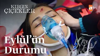 Arama kurtarma çalışmaları sonucu Eylül bulunuyor! - Kırgın Çiçekler 81. Bölüm