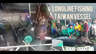 AMAZING LONGLINE FISHING/CATCHING BIG FISH/TAIWAN FISHING VESSEL