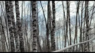 Дрессировщик Гончаров Александр