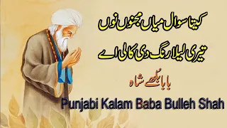 Heart Touching Poetry By Baba Bulleh Shah | Best Poetry Collection | Muhammad Naeem | Punjabi Kalam