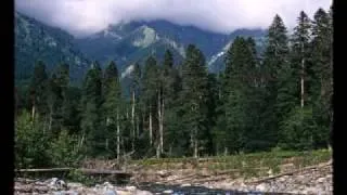 Caucasus - Caucasian Biosphere Reserve - Sergey Karpukhin's Photography