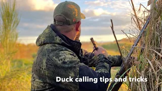 Duck calling tips and tricks for beginners.