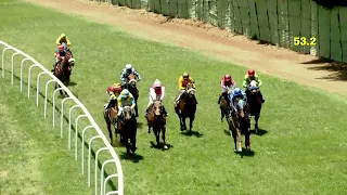 RACE NO : 42 - RAFFINATO WINS - The Zurbaran Handicap Div-1