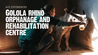 Supporting Rhino Conservation | Help Save Africa’s Rhinos