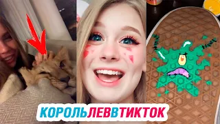 КОРОЛЬ ЛЕВ в Tik Tok – ЭТО ТИК ТОК, ДЕТКА!