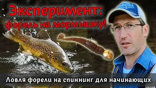 СПИННИНГ: а Вы ловили форель на мормышку? Провожу эксперимент! Как поймать форель | Мормышинг