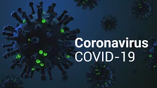 Coronavirus disease 2019 (COVID-19) overview using 3D Organon Anatomy