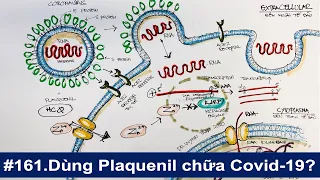 #161. Dùng thuốc Plaquenil có thể chữa Covid-19? Hiểu về nguyên lý, liều lượng, và tác dụng phụ