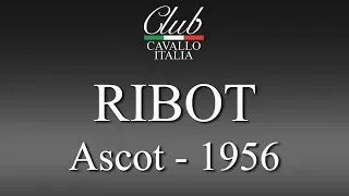 RIBOT – ASCOT 1956