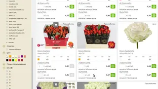 Прямая закупка на голландском аукционе - это реально? Закупка цветов и растений на WebShop
