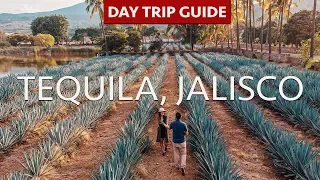 TEQUILA, JALISCO | Day Trip Guide | Tequila Tours | La Alborada | Fortaleza