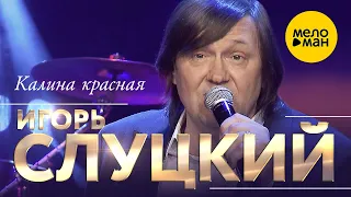 Игорь Слуцкий - Калина красная (концерт в Крокус Сити Холл, 2021) 12+