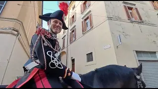 La storia di Briciola, mascotte del 4° Reggimento dei Carabinieri a Cavallo, ospite a Rieti