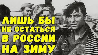 Пополнение слабое, вялое и болтливое. Дневник убежденного нациста осень 1941 года | Письма с фронта