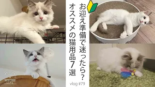 【猫初心者】準備で迷ったらこれ！オススメの猫用品7選｜ラグドール猫 #79