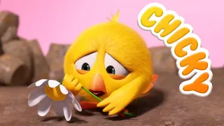 Where's Chicky? Funny Chicky 2023 | THE LAST FLOWER | Cartoon in English for Kids | New episodes