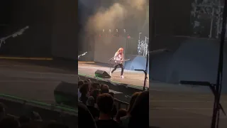 Dave Mustaine (Megadeth)Stooped concert because of bulled fan. From security