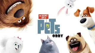 The Secret Life of Pets Obby!