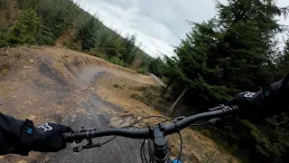 Hamsterley Forest MTB - It Just Keeps Getting Better