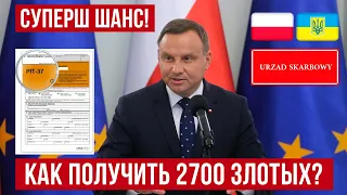 Украинцы могут получить до 2700 польских злотых на ребенка в Польше