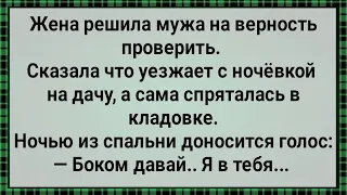 Как Жена Мужа На Верность Проверяла! Сборник Свежих Анекдотов! Юмор!