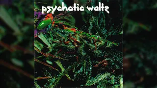 Psychotic Waltz - Shattered Sky