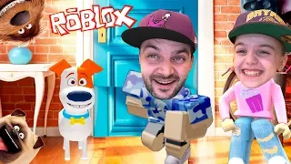 В ПОГОНЕ ЗА МАКСОМ В ROBLOX!Тайная Жизнь Домашних Животных в РОБЛОКСЕ ИГРОВОЙ ЛЕТСПЛЕЙ Симулятор