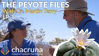 The Peyote Files (episode 1)