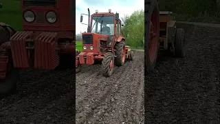 посів сої , мтзюк сівалочка сімульта.