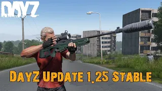 Everything New In DayZ Update 1.25 (Stable)