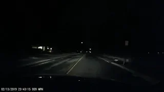 Лиса бежит по дороге