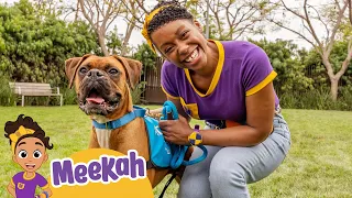 Meekah Plays with Puppies Makes a Fur-Ever Friend | Blippi & Meekah Kids TV