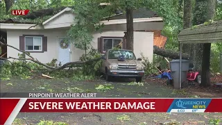 Tree falls on house in NW Charlotte