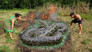 Primitive Life: Daily Life Find Food Meet Giant Anaconda Python - Skills Catch Big Snake To Survival