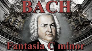 J. S. Bach - Fantasia in C minor BWV 562 / organ tutti /