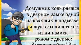 Анекдоты! "Здравствуйте...")) Юмор! Отличное настроение! ПОЗИТИВ!))