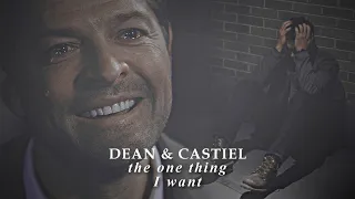 dean & castiel || the one thing I want [+15x18]