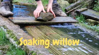 Preparing willow for basket making: Soaking (answering questions, no background music)