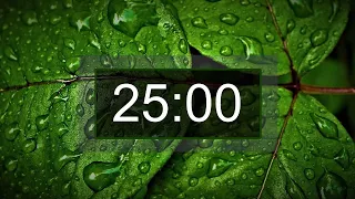 Countdown timer, 25 minutes with relaxing music for concentration