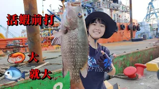 釣魚傳說 餌越大魚就越大！？ 究竟真的假的 港邊前打幫你證實這個傳聞！！