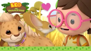 1 HOUR OF CUTE AND FUNNY CATS!! 😺🐈‍⬛  | Leo the Wildlife Ranger | Kids Cartoons