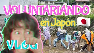 VOLUNTARIADO EN JAPÓN - MAÑANAS DE MONTAÑA ⛰️ TARDES DE JUEGOS