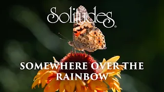 Dan Gibson’s Solitudes - What a Wonderful World | Somewhere over the Rainbow