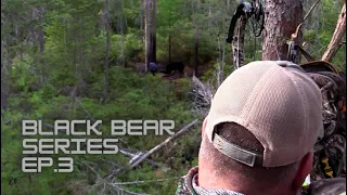 MAINE BLACK BEAR DOWN! Dads First Bear - FIRST DEATH MOAN EXPERIENCE...