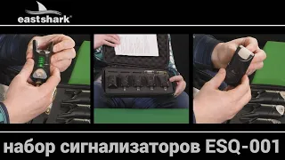 Набор сигнализаторов с пейджером EastShark ESQ 001