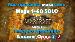 Wow classic: АОЕ прокачка мага вов классик 1-60 Альянс Орда