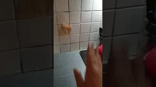 Throwing bread against a wall